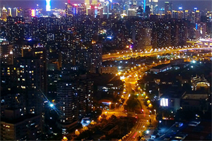 上海城市新区的治理模式分析