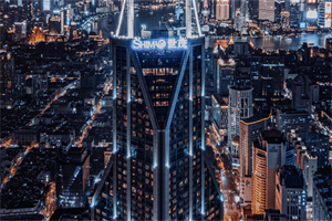 上海女性在人工智能领域的挑战与机会